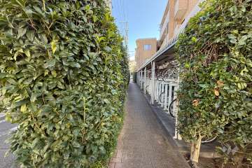 敷地北側の前面道路（西側から）