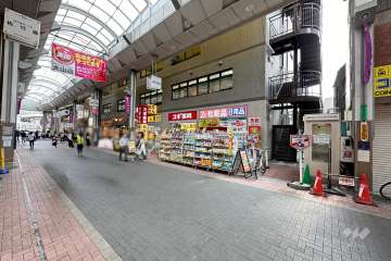 敷地北側の前面道路