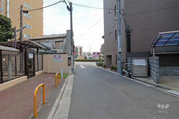 敷地の西側前面道路（北側から）