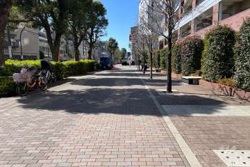 敷地の南側前面道路（東側から）