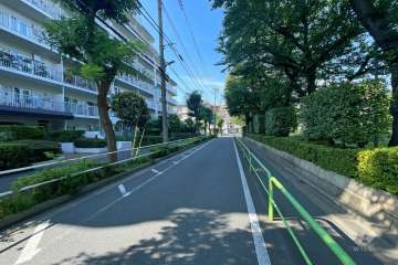 敷地の東側前面道路（南側から）