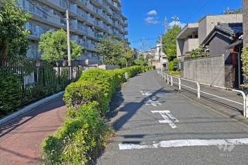 敷地南側の前面道路（西側から）