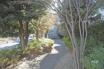 敷地東側の前面道路（北側から）