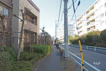 敷地北側の前面道路（西側から）