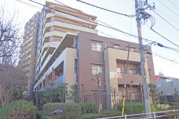 ソフィア西台の外観（北東側から）