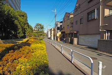 敷地東側の前面道路