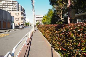 敷地西側の前面道路