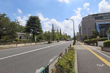 敷地北東側の前面道路（北西側から）
