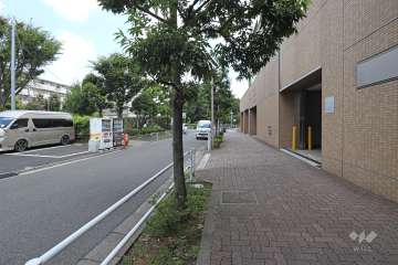 敷地北西側の前面道路（南西側から）