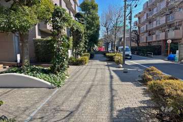 敷地南西側の前面道路（北西側から）