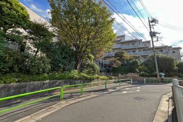 敷地西側の前面道路（北側から）