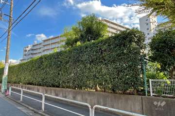 パルシティ徳丸の外観（北西側から）