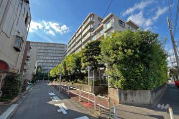 パルシティ徳丸の外観（東側から）