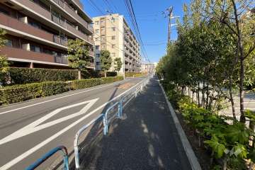 敷地南側の前面道路（西側から）