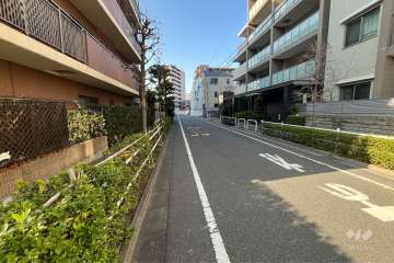 敷地東側の前面道路（南側から）