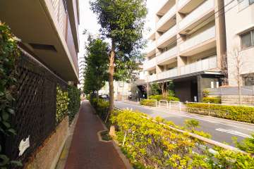 敷地東側の前面道路（南側から）