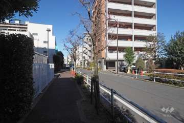 敷地東側の前面道路（南側から）