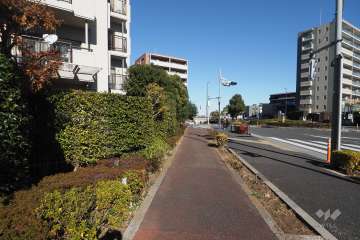 敷地南東側の前面道路（南西側から）