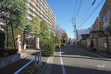 敷地南側の前面道路（西側から）