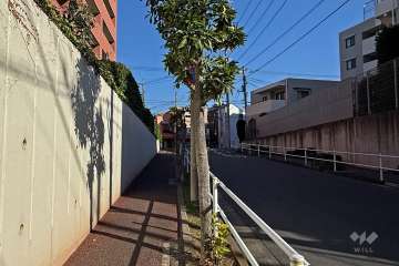 敷地南側の前面道路（西側から）