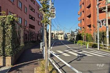 敷地東側の前面道路（南側から）