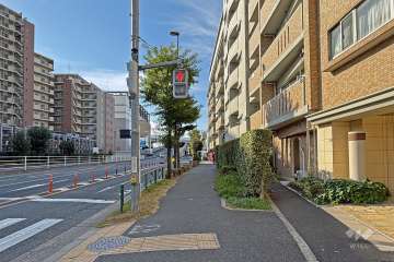 敷地の南側前面道路は環八通りです（東側から）。