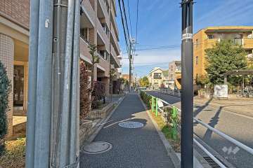 敷地の東側前面道路（南側から）