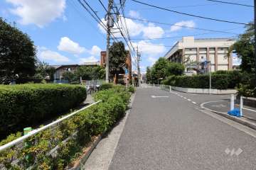 敷地の東側前面道路（南側から）