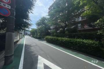 敷地南側の前面道路　