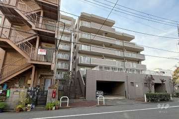 ライネスハイム志村の外観（東側から）