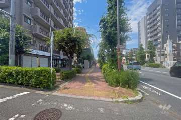 敷地の東側前面道路（南側から）