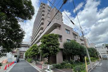 シーアイマンション池袋西の外観（南東側から）