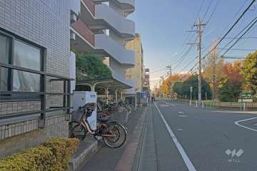 敷地の北側前面道路（東側から）
