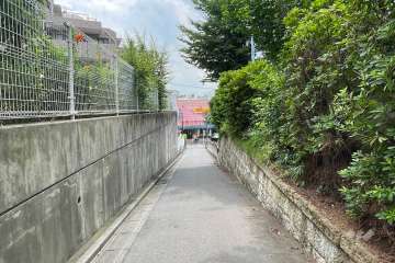 敷地北側の前面道路