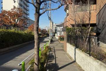 敷地の西側前面道路（南側から）