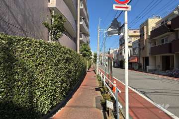 敷地東側の前面道路