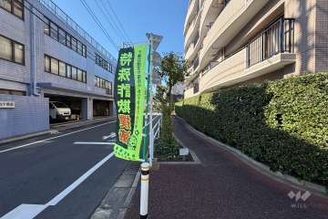敷地南側の前面道路