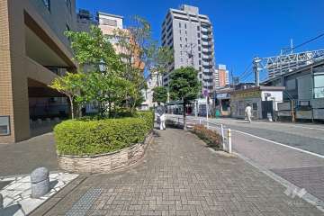 敷地の西側前面道路（北側から）