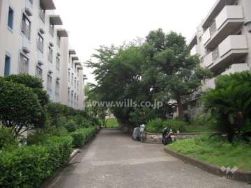 団地内の共有スペース。植栽が多く、緑豊かです。