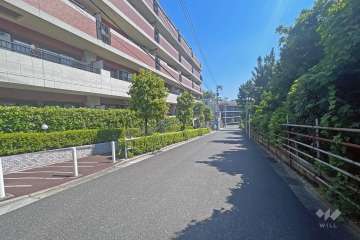 敷地の南側前面道路（西側から）