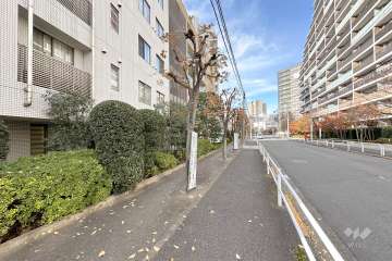 敷地北東側の前面道路（南東側から）