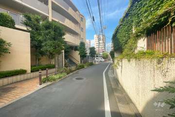 敷地の南東側前面道路（南西側から）