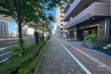 敷地南東側の前面道路　