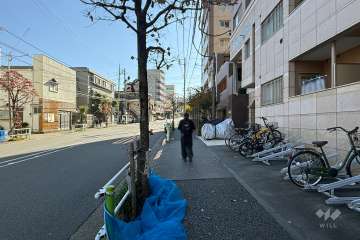 敷地東側の前面道路（北側から）