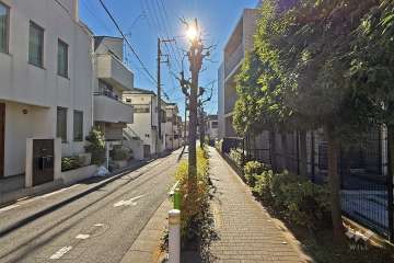 敷地東側の前面道路（北側から）