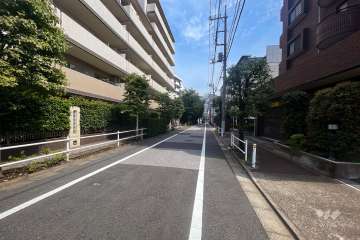 敷地南西側前面道路（北西側から）