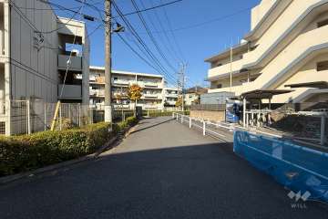 敷地の北側前面道路（南側から）