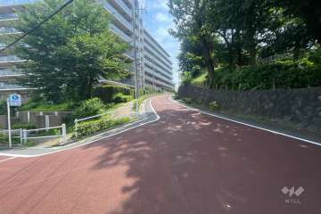 敷地東側の前面道路（南側から）