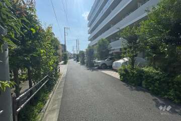 敷地南側の前面道路（東側から）