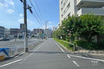 敷地西側の前面道路（南側から）